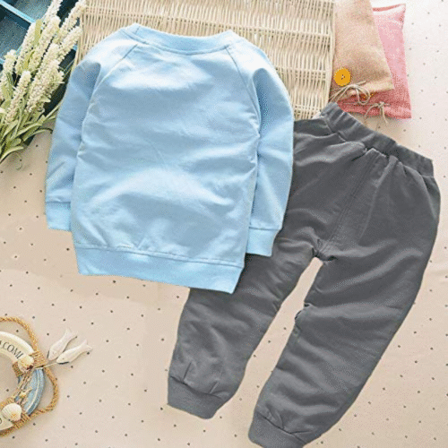 Back design view of stylish baby winter clothes sky blue and grey set